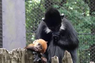 決まりました!!