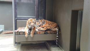 サブ運動場での過ごし方・・・②