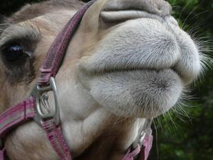 がんばっているんです！！