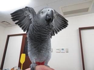 見にいかNight！