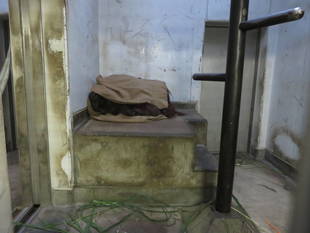 寒い夜のオランウータンは