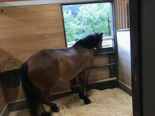 雨の日は・・・