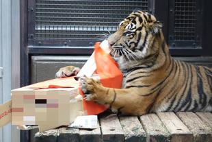 お客様が作った遊具で・・・その2