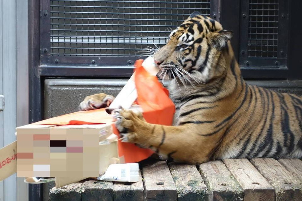 お客様が作った遊具で・・・その2の写真