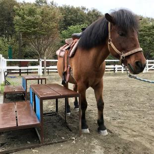 乗り降り台の修理に挑戦