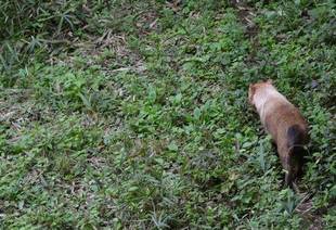 雨の日のお楽しみ