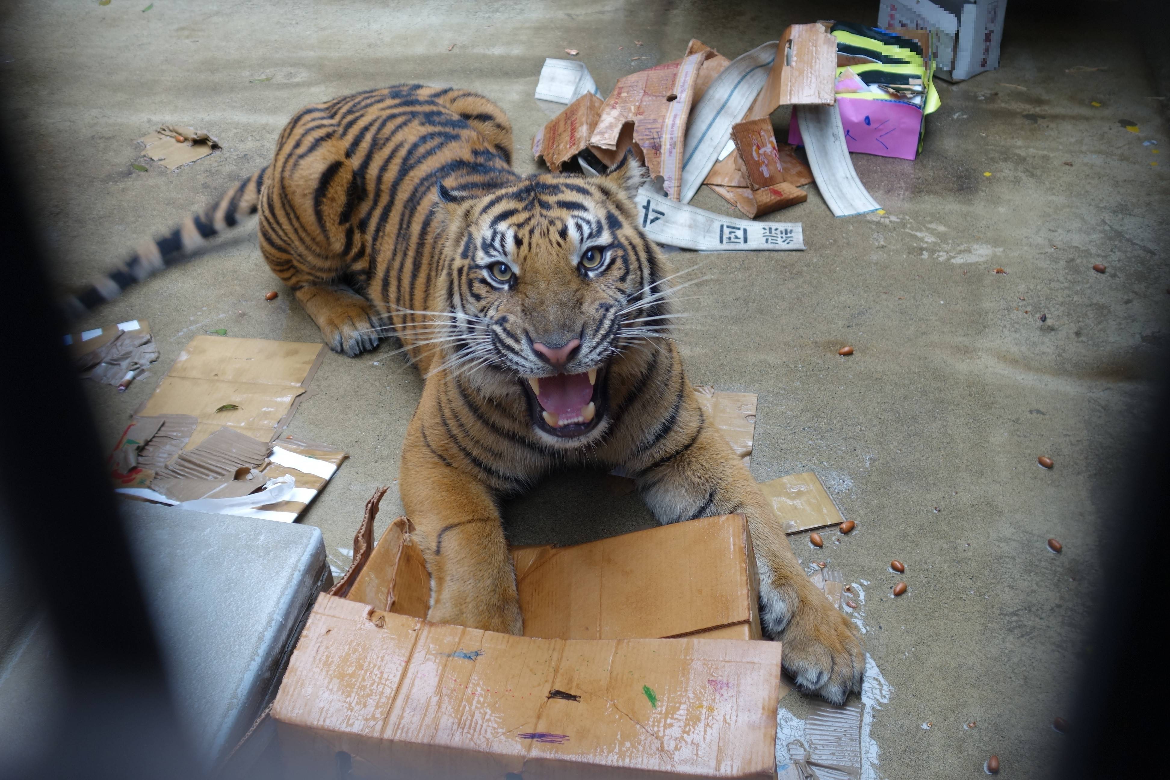 お客様が作った遊具で!の写真