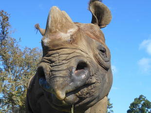 思わぬボーナス(^o^)