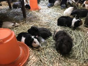 脱走犯?