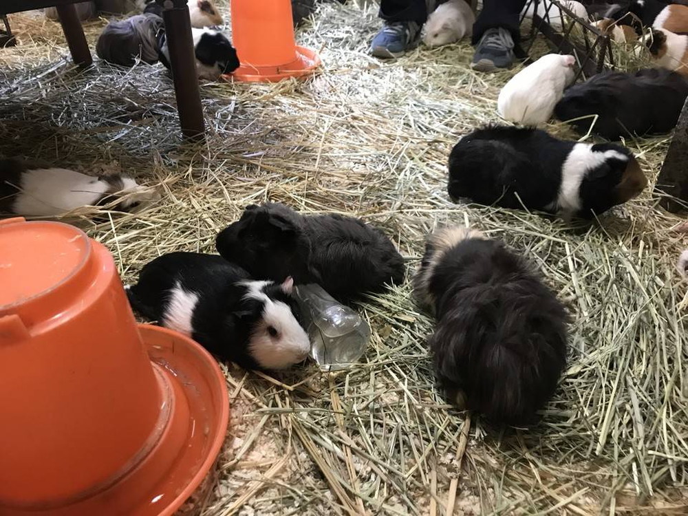 脱走犯?の写真
