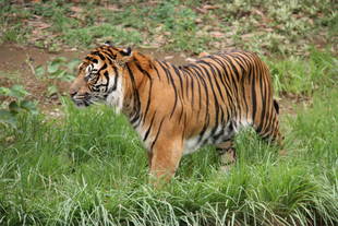 先月は雨が多かったですね・・・(*_*)