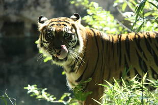 余韻のお裾分け