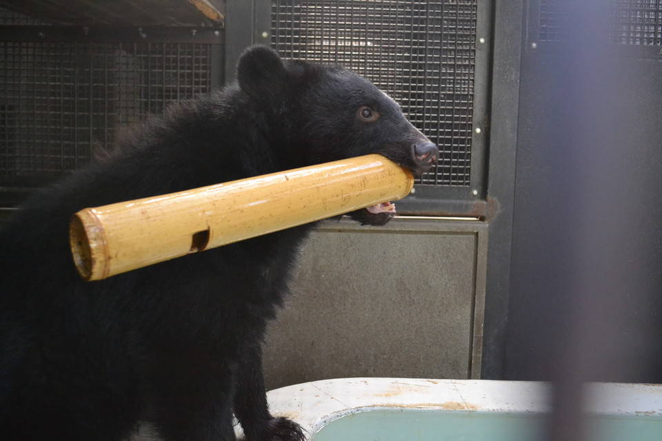 メリー、元気ですの写真