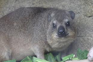 開ウン!？ということで数えてみた話。