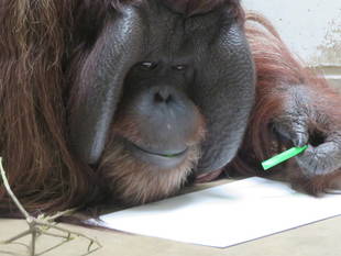 お絵かきオラン　～ジュリー編③～