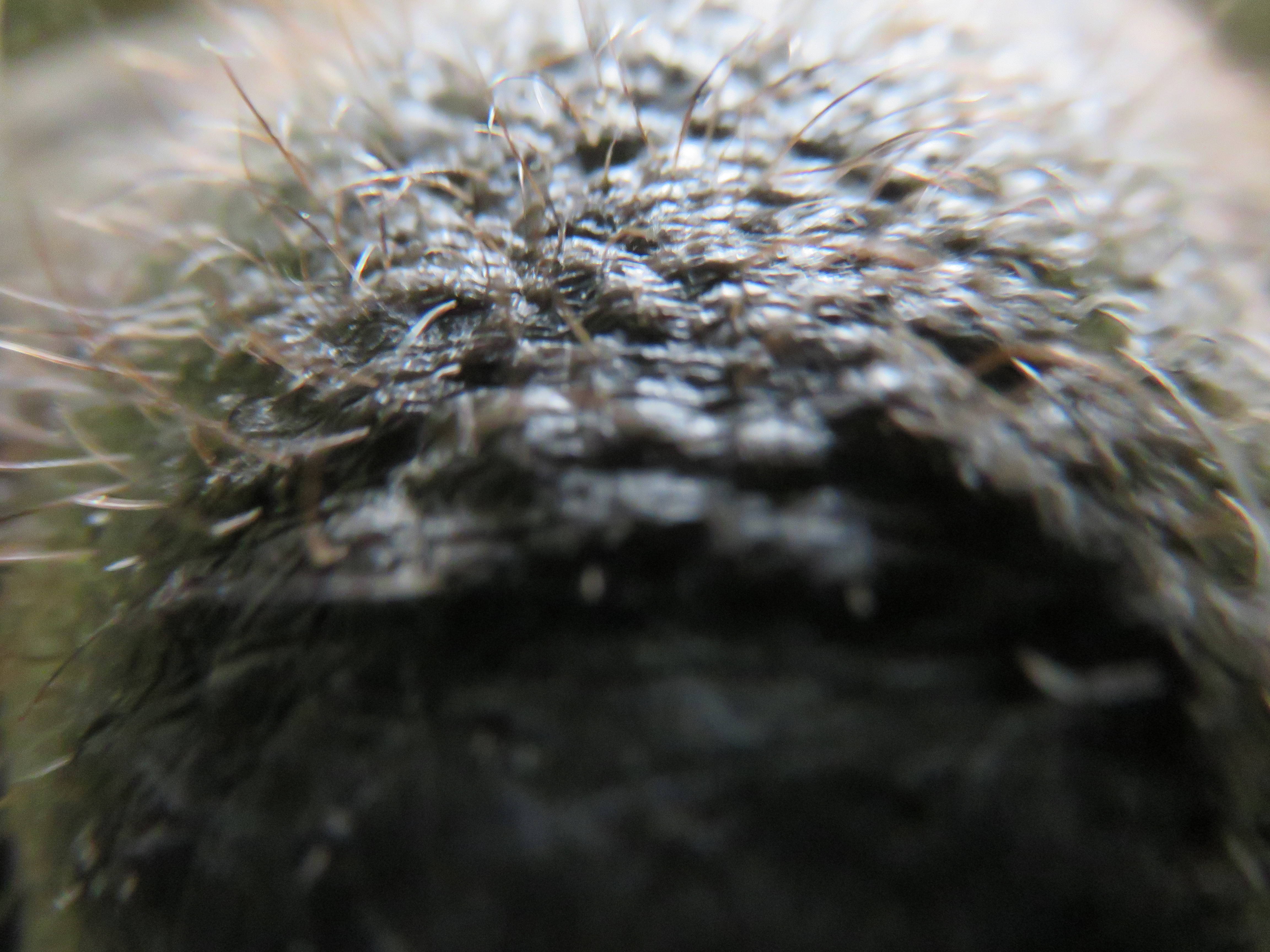 私はだれでしょう?の写真