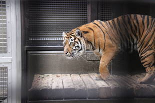 収容場所を変更しています