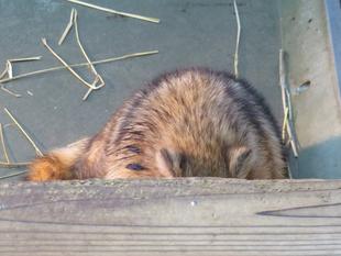 それぞれの過ごし方