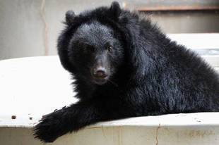 冬場のプールは・・・