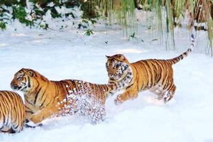 今年を振り返ってみましょう!