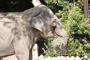 お誕生日会直前!!