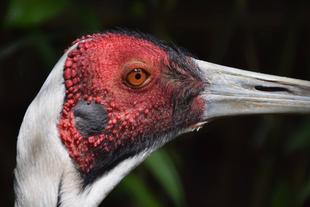 私は誰でしょう？