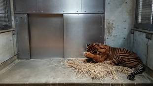 扉も閉めています