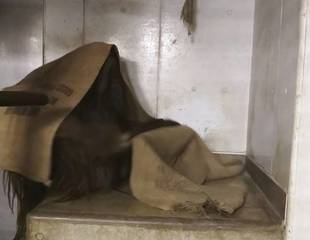 ロビンのベッドメイキング