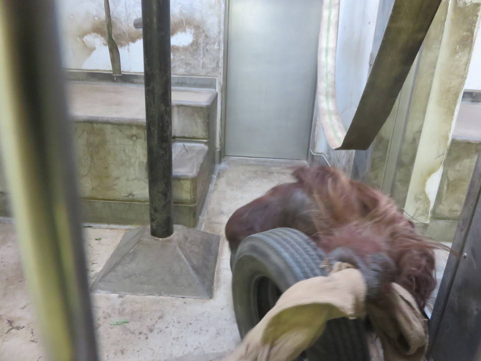 こんなことも、できるんですの写真