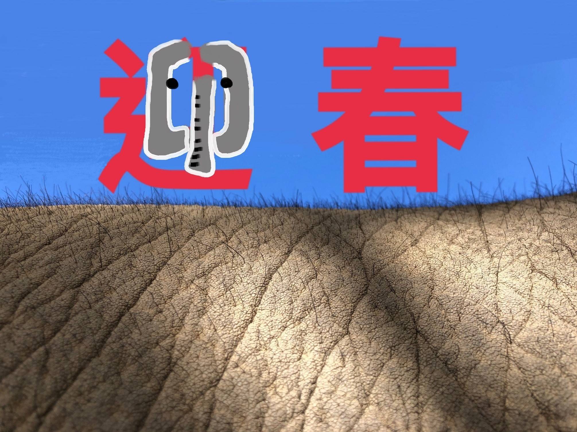 新年だぞう!の写真