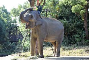 試作品2号・3号