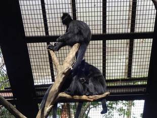ニンニンのお気に入り
