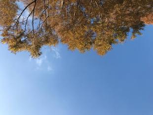 事務職員の休園日　つづき