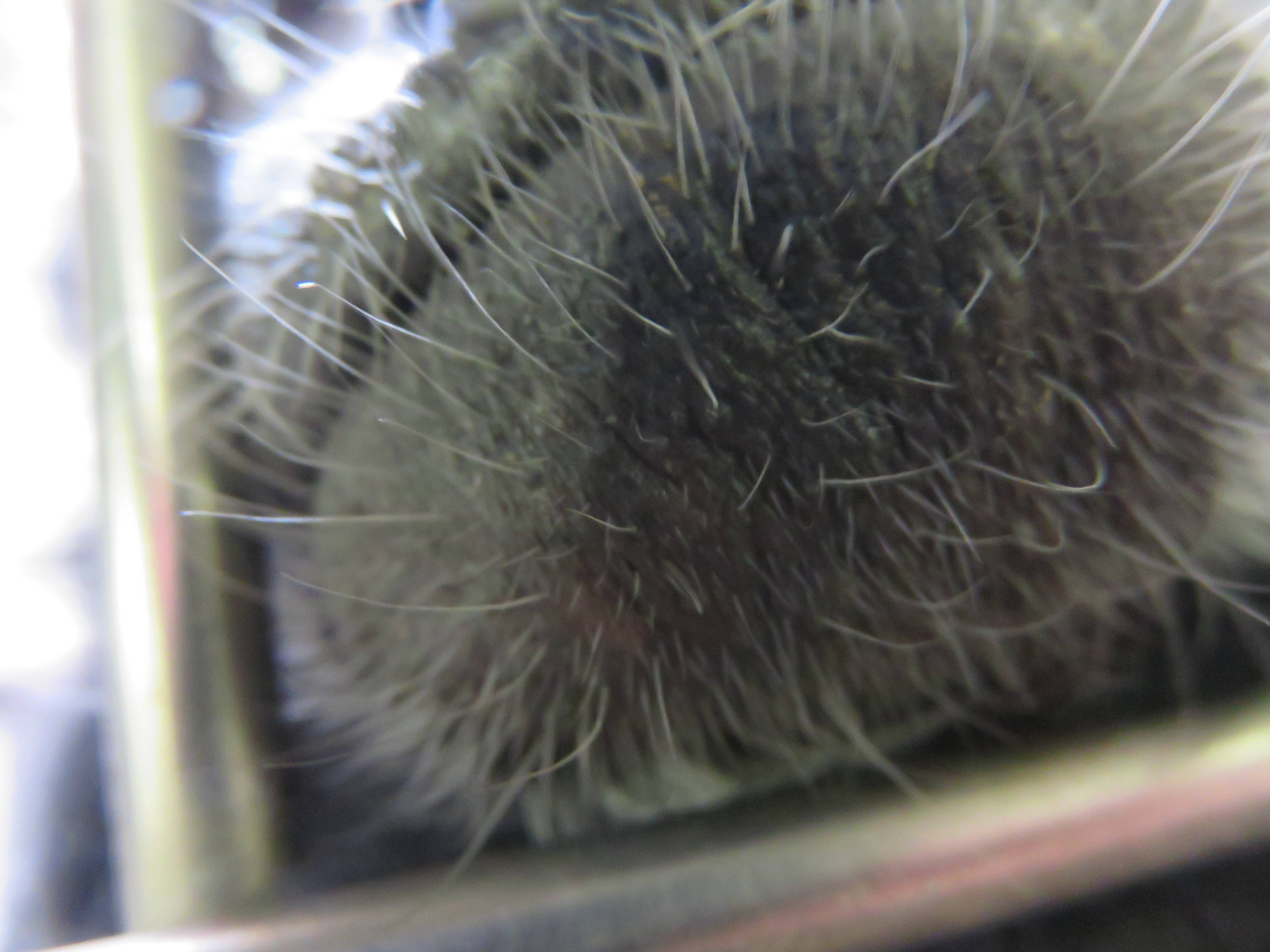 再び、私はだれでしょう?の写真