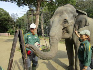 お絵かきシュリー③