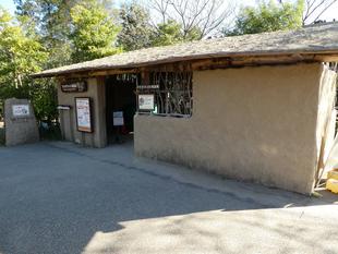 ラクダライド待合所　改装！