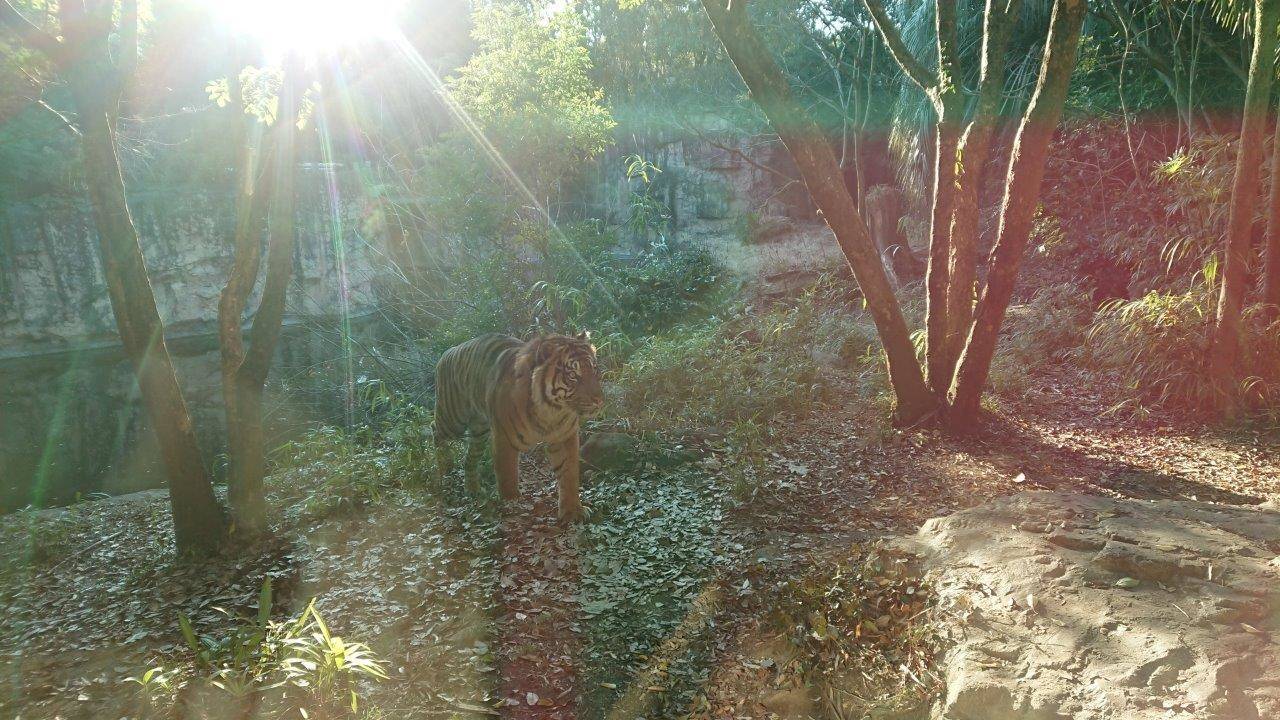 誰だ!?の写真