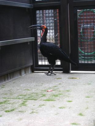 不思議な出来事