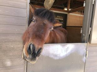 偶然？それとも...