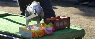 ズーラシアのお正月