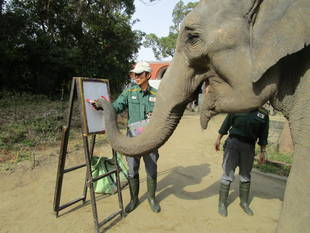 お絵かきシュリー②