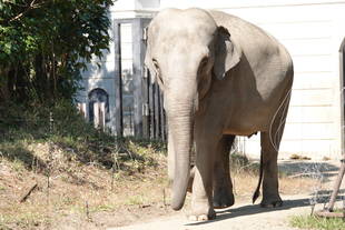どこでしょうクイズ (1) ～解答編～