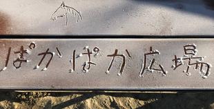 だれの体でしょう？