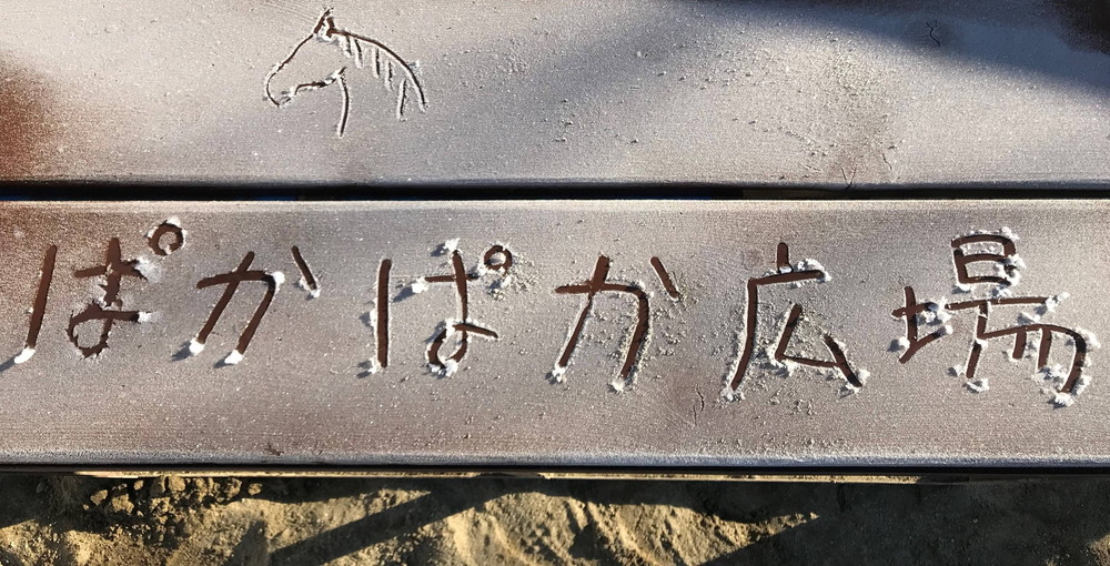 だれの体でしょう?の写真