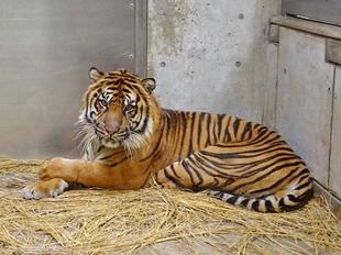 クリスマスイベントのおまけ