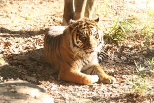 ちゃっかりしてるね(笑)