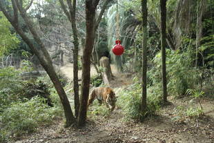 頂いた遊具で（動画も見てね！）