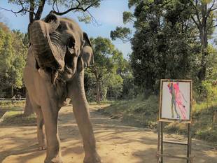 お絵かきシュリー①