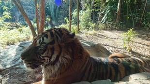 頂いた遊具で･･･　その3