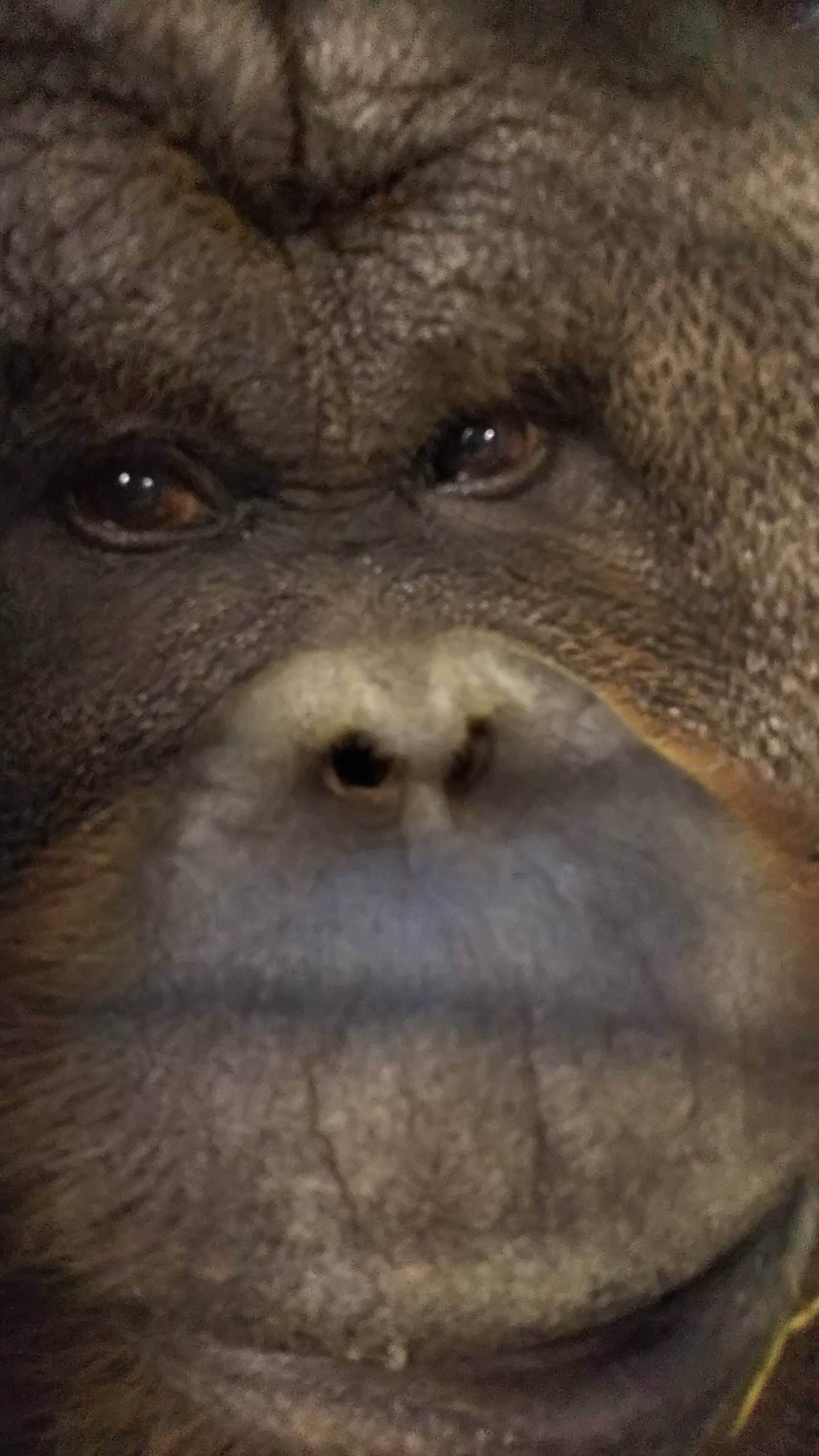 ロビンのこだわりごはんの写真